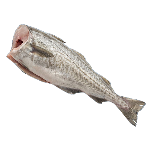 Минтай