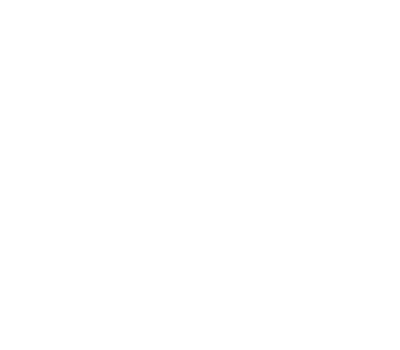 Nergard logo
