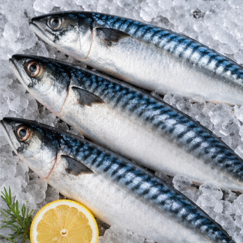 Изображение рыбы